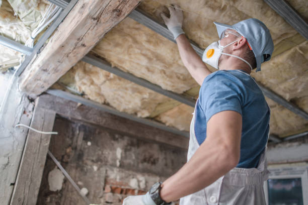 Best Insulation for Specific Applications in Waawa, HI